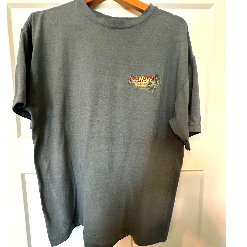 Newport Blue Mens Large Iguana Getaway Born To Chill Graphic T-Shirt Blue Gray